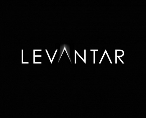 Logo design and branding for Levantar designed by BLU:72 Creative